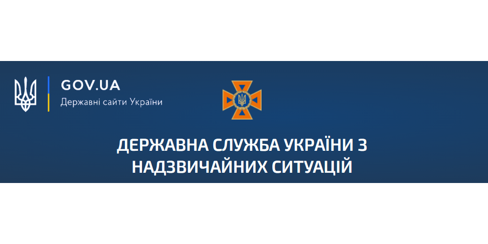 портал дснс