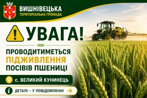 Підживка пшениці